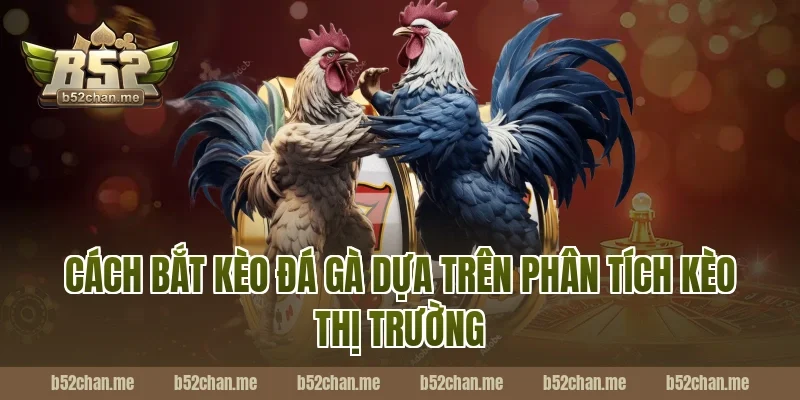 Cách Bắt Kèo Đá Gà Dựa Trên Phân Tích Kèo Thị Trường B52