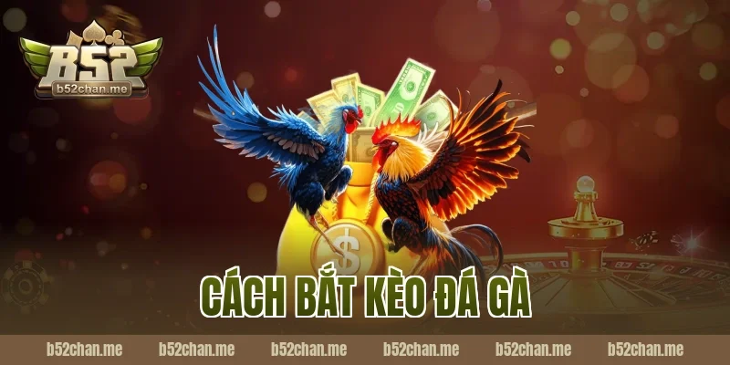 cách bắt kèo đá gà