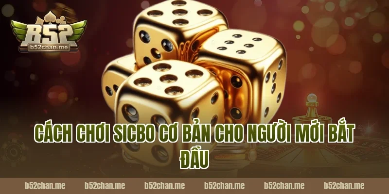 Cách chơi sicbo B52 cơ bản cho người mới bắt đầu