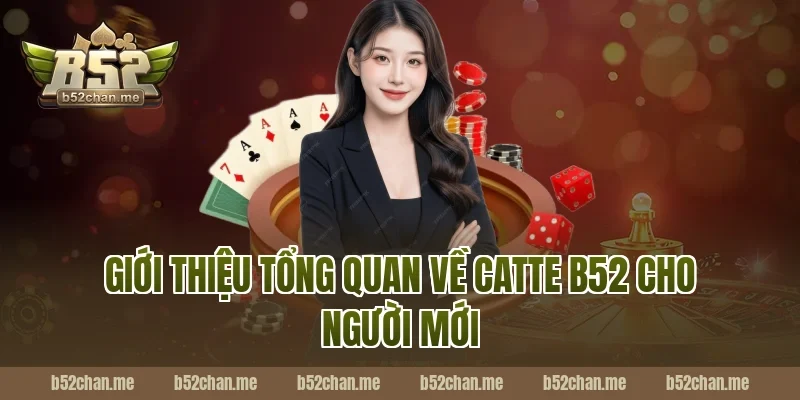 Giới thiệu tổng quan về catte b52 cho người mới