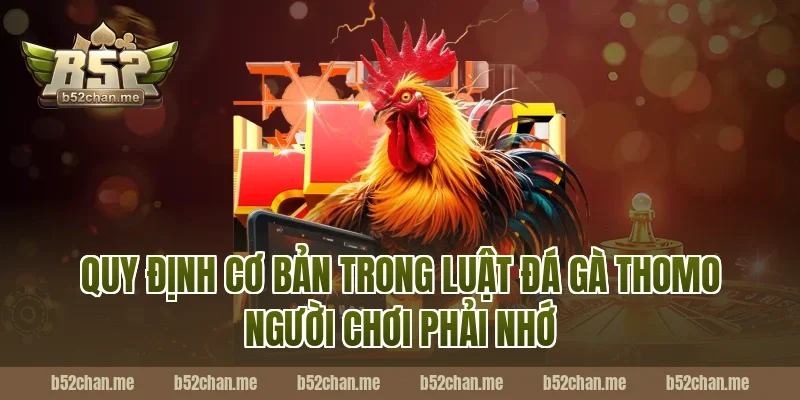 Quy định cơ bản trong luật đá gà thomo B52 người chơi phải nhớ