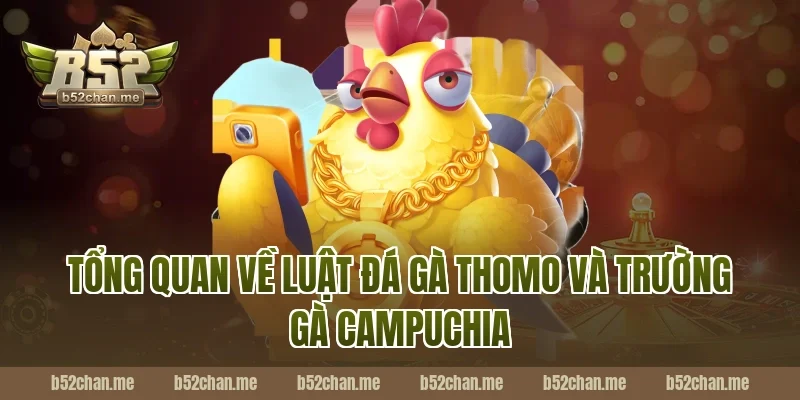 Tổng quan về luật đá gà thomo B52 và trường gà Campuchia